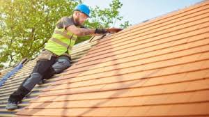 Best Skylight Installation and Repair  in San Miguel, CA