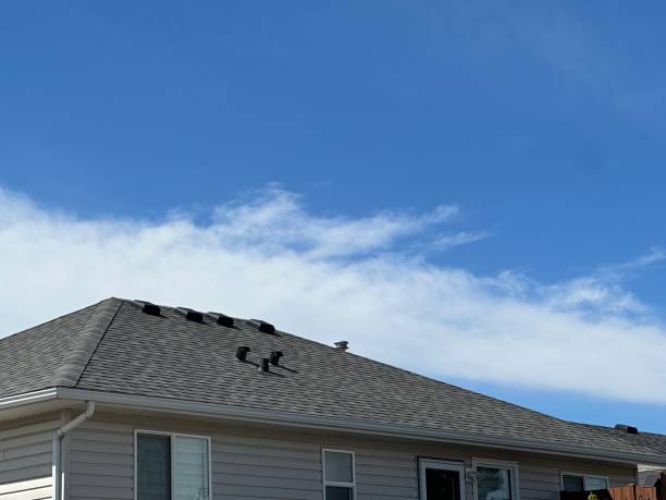 Best Metal Roofing Installation  in San Miguel, CA